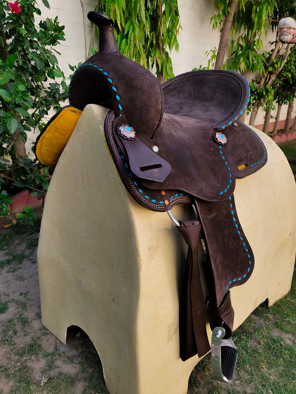 Thumbnail: BXBR 4022 Barrel Racer Side View