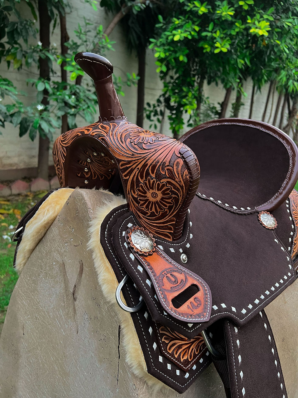 Miniatura: BXBR 4074 - Barrel Racer Pommel View
