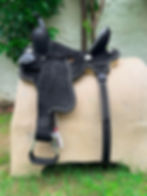 BXBR 4067 - Barrel Racer Whole View
