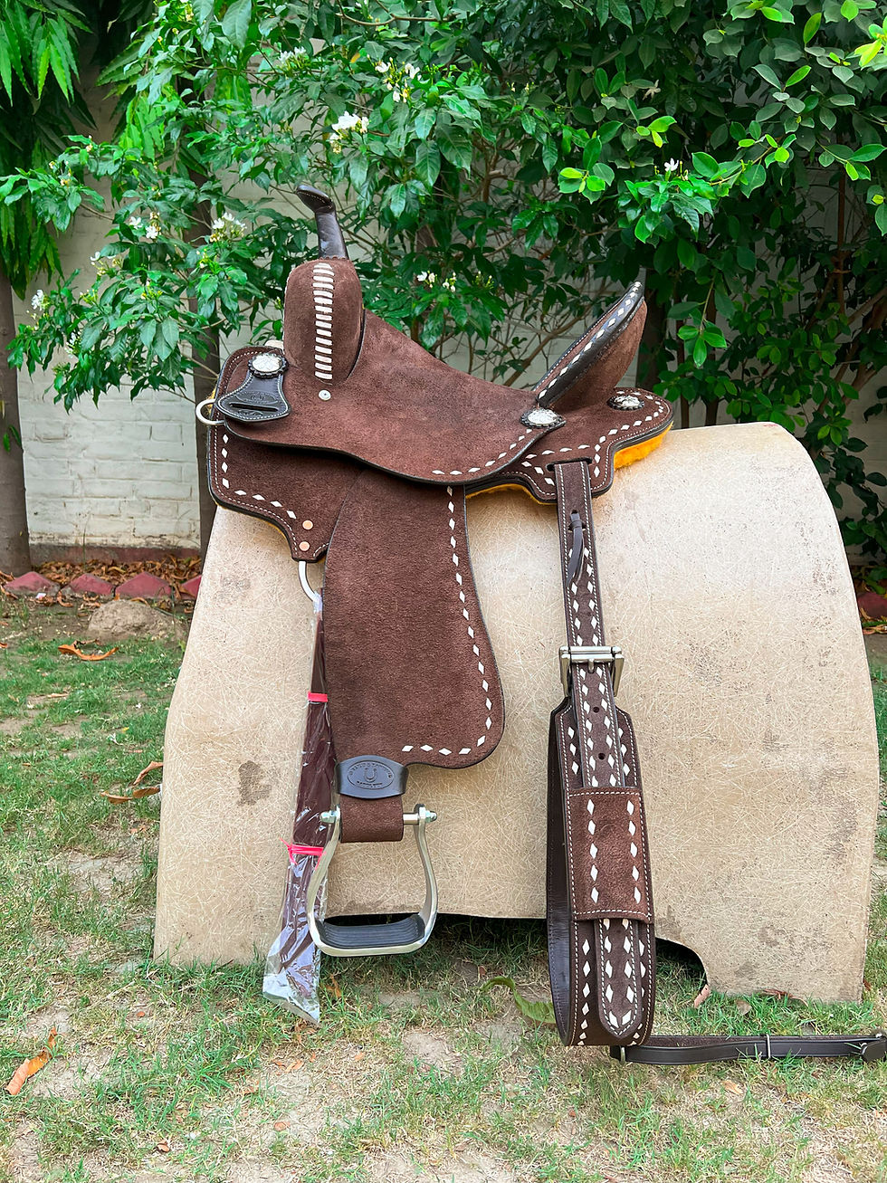 Thumbnail: BXBR 4033 Barrel Racer Full View