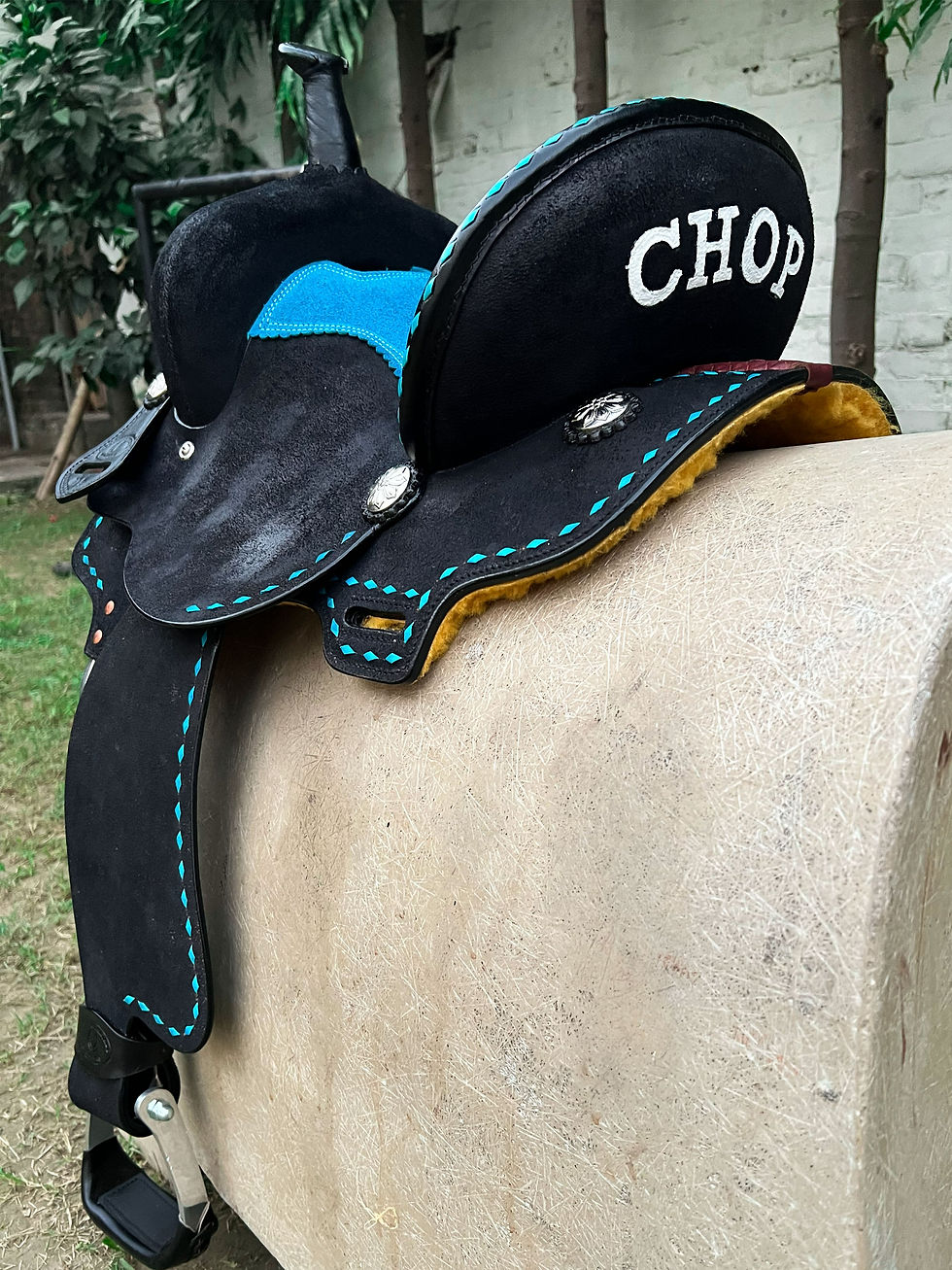 Miniatura: BXBR 4076 - Barrel Saddle