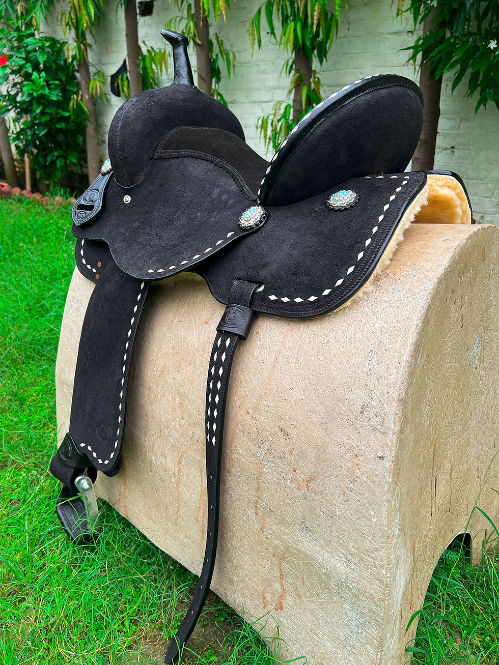 Miniatura: BXBR 4069 - Barrel Racer Rear View