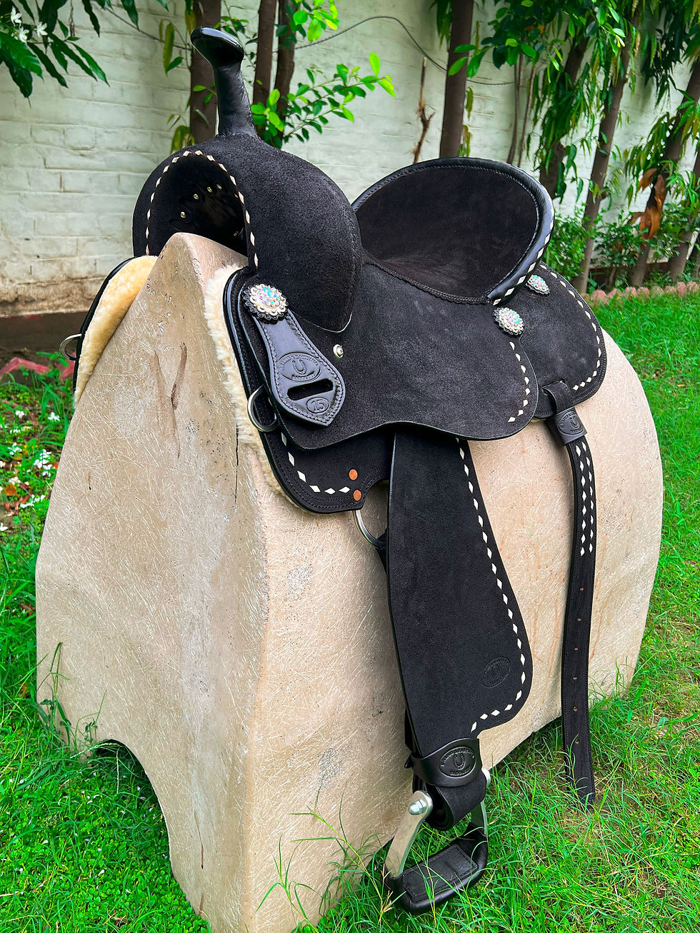 Miniatura: BXBR 4069 - Barrel Racer Front View