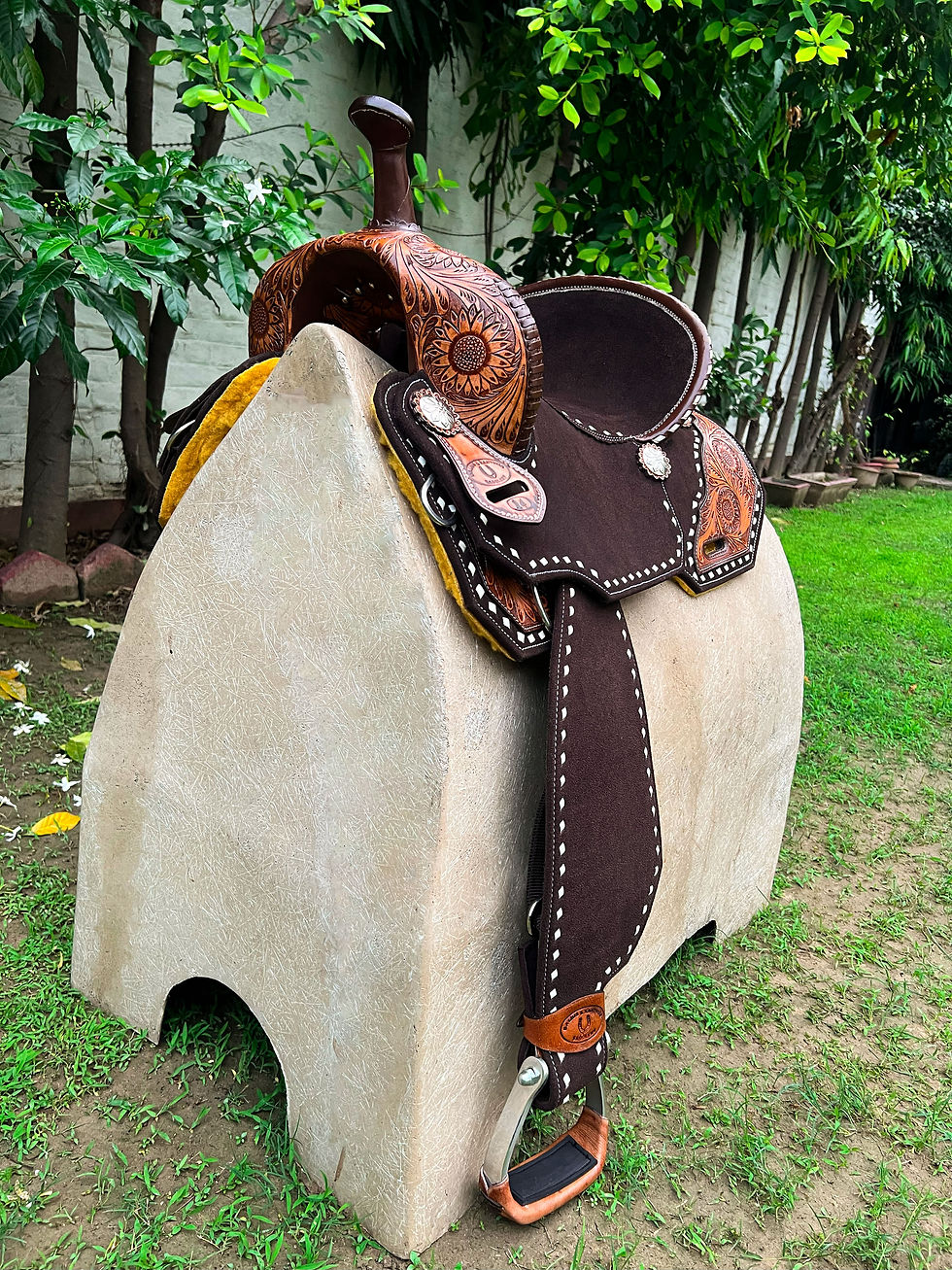 Miniaturbild: BXBR 4073 - Barrel Racer Front View