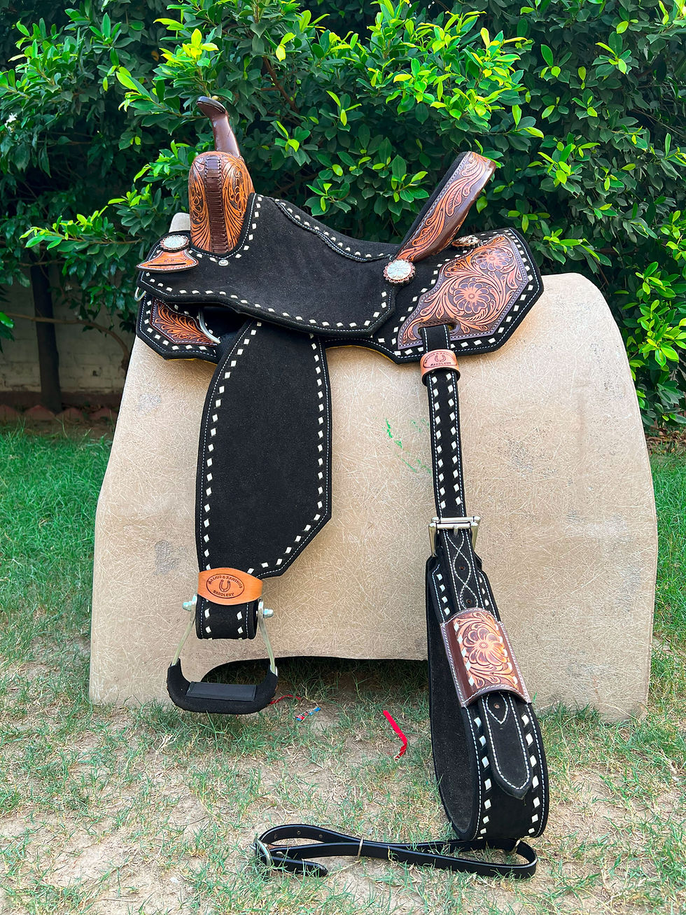 Thumbnail: BXBR 4054 - Barrel Racer Front View