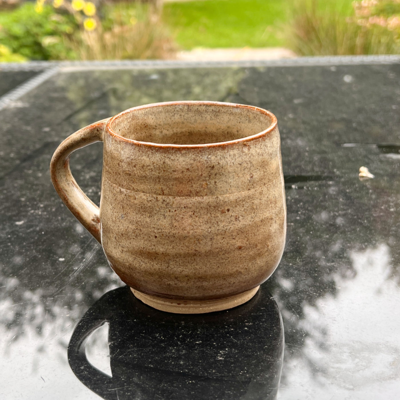 Speckled Glaze Mug