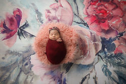 Newborn Baby Photography Woodbridge