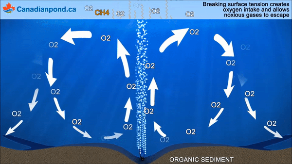 Effects of Aeration with tubing air diffuser.gif