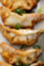 Gyoza aux légumes