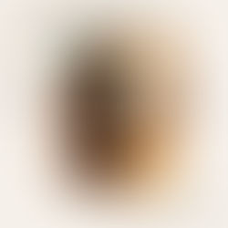 療育アイテムの紹介　療育棚・ボックス