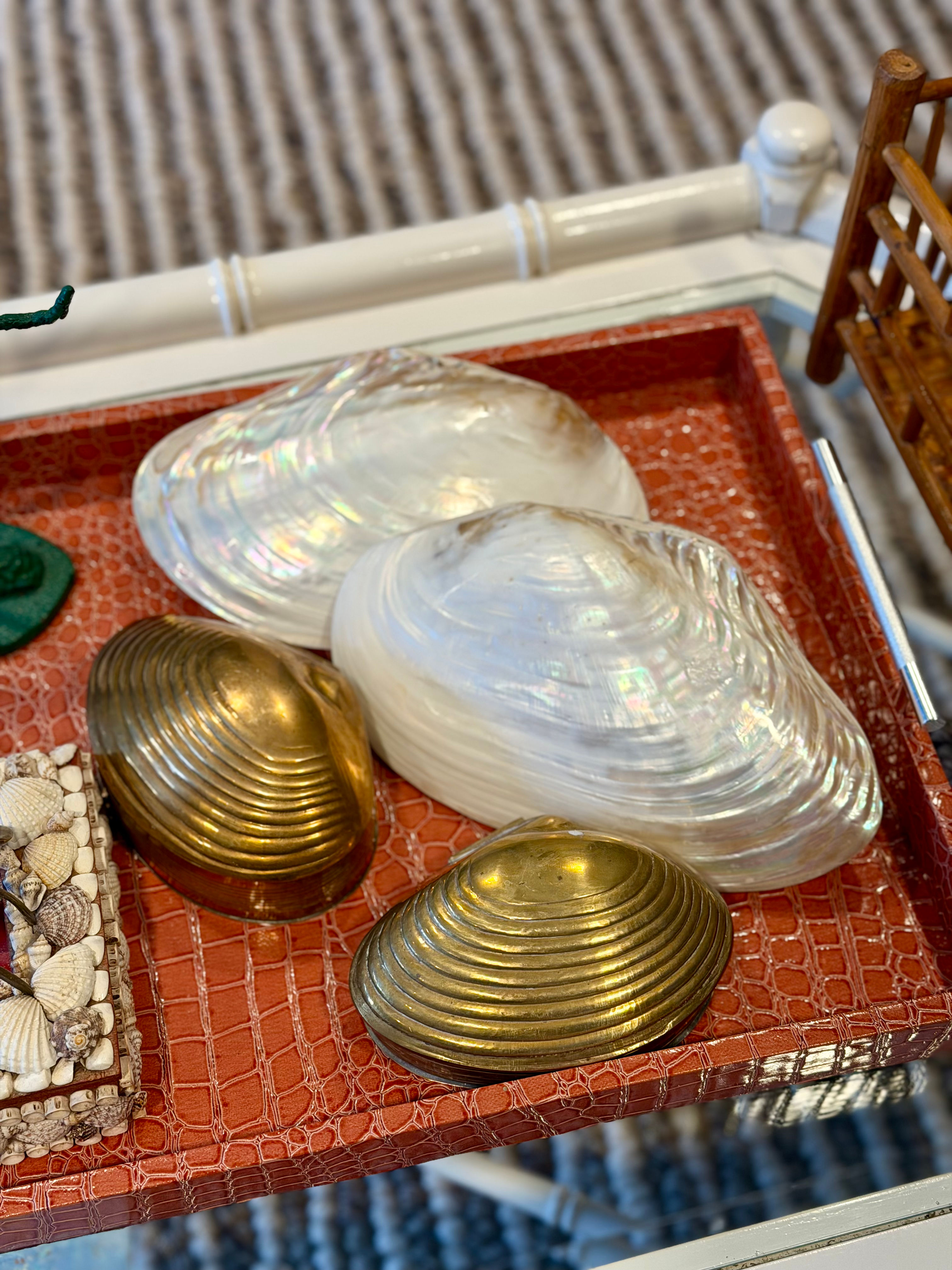 Mother of Pearl Shells