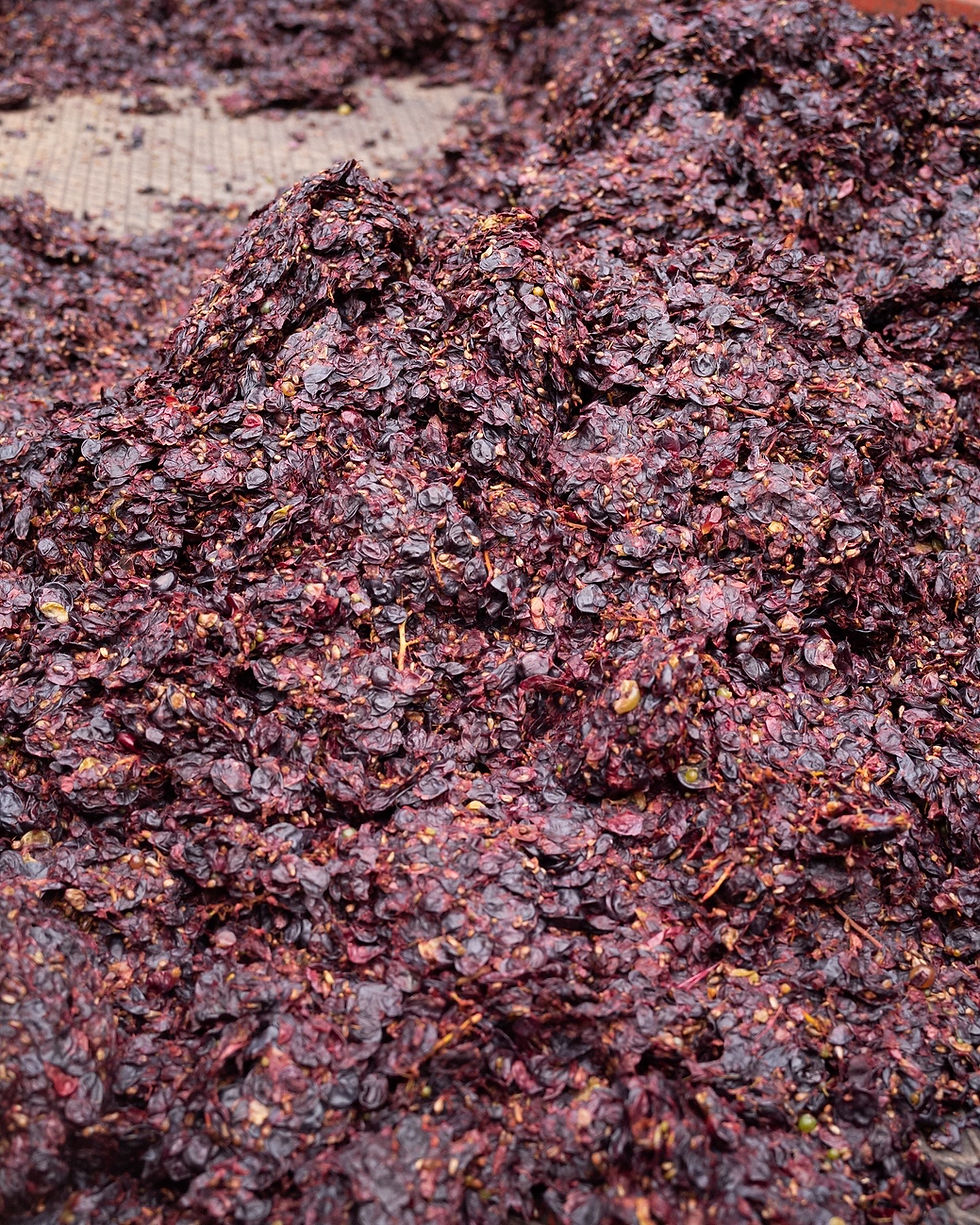 34E9E44D-D91C-4AE7-9757-2B70B12B740E