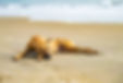 un-chien-rouge-errant-se-trouve-sur-une-plage-de-sable-pres-de-l-ocean-ou-de-la-mer.jpg