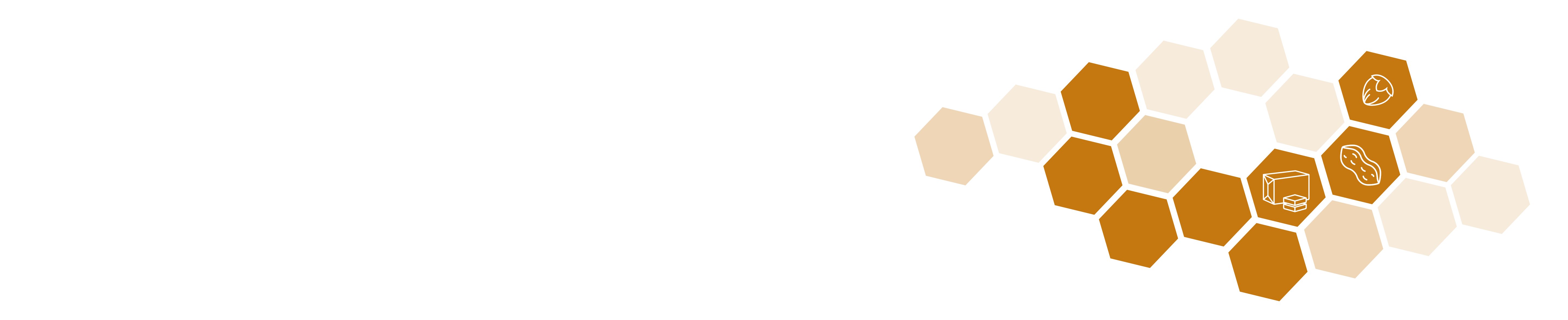 Bande croquants-01.webp