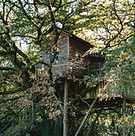 Cabane de la Peyrade - | La Ferme des Histoires Mélangées | Hébergement insolite en Corrèze (19