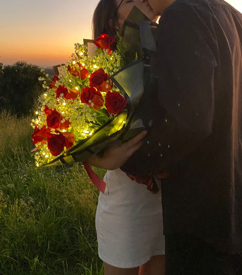 Doze rosas com LED PREMIUM