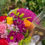 Miniatura: Box de flores mistas + chocolates