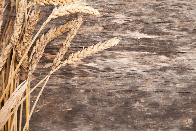 Wheat on wood.jpg