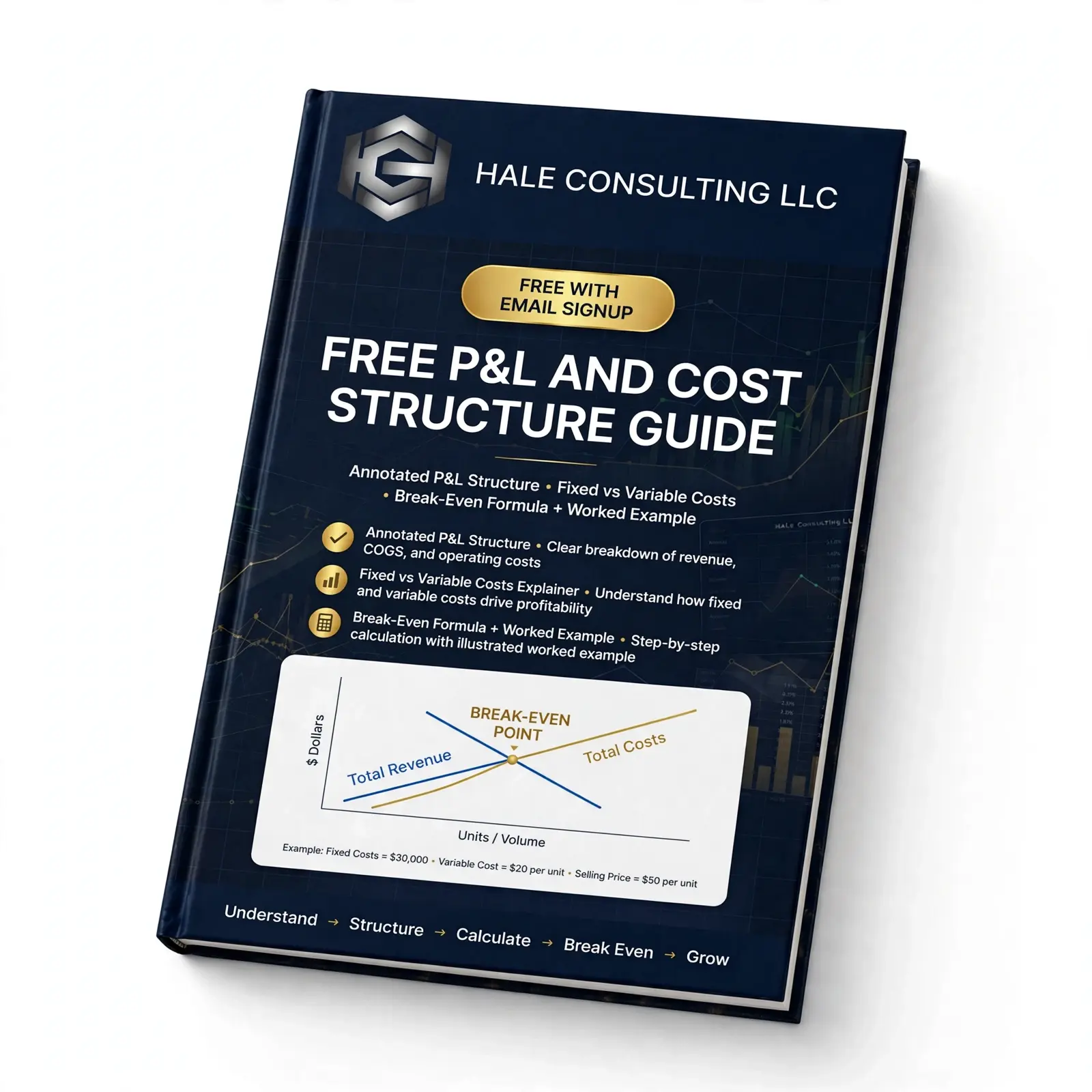 Free P&L and Cost Structure Guide