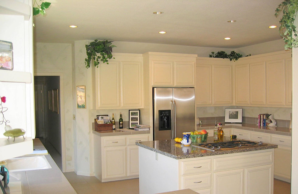 Before Kitchen Remodel