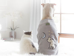 dogs%20in%20robes_edited.jpg