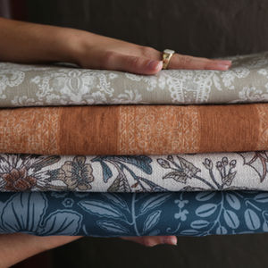 Common Curiosities
 open-line image, that I styled and shot for online and print media.