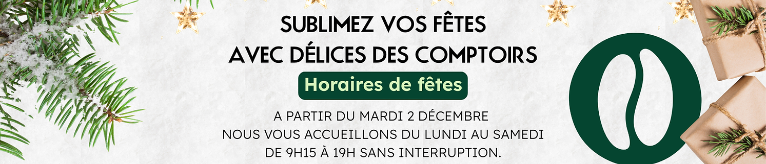 Bannière site Noël 2025.png