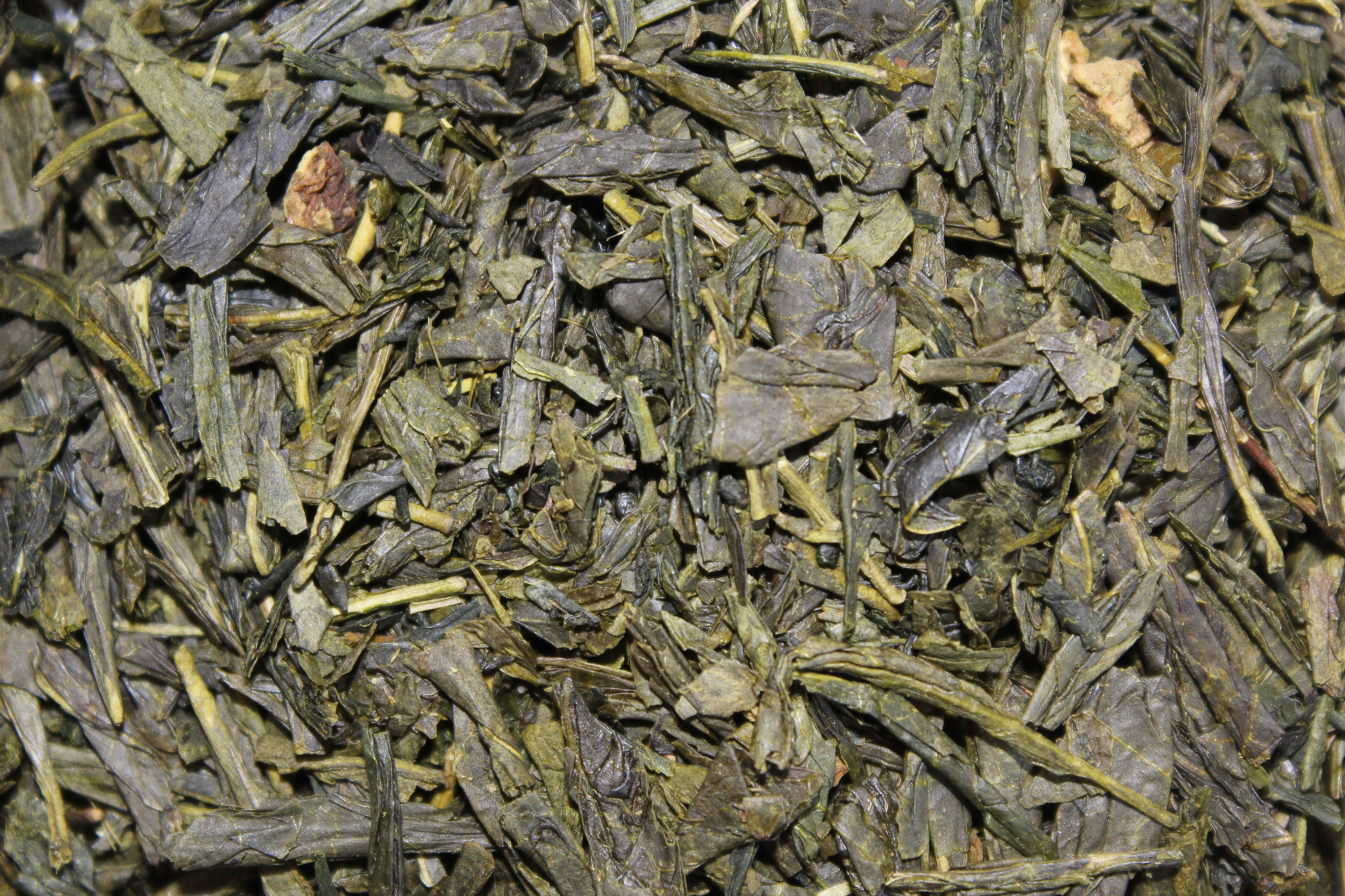 N°67 - Voyage à Tokyo - BIO