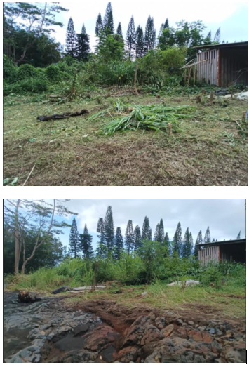 Life on the Farm: A Little Progress, a Little Chaos, and What's Next