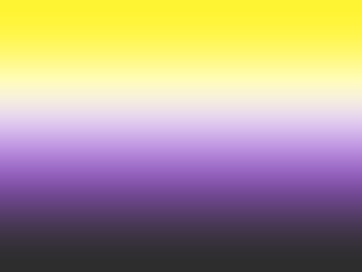 Nonbinary flag