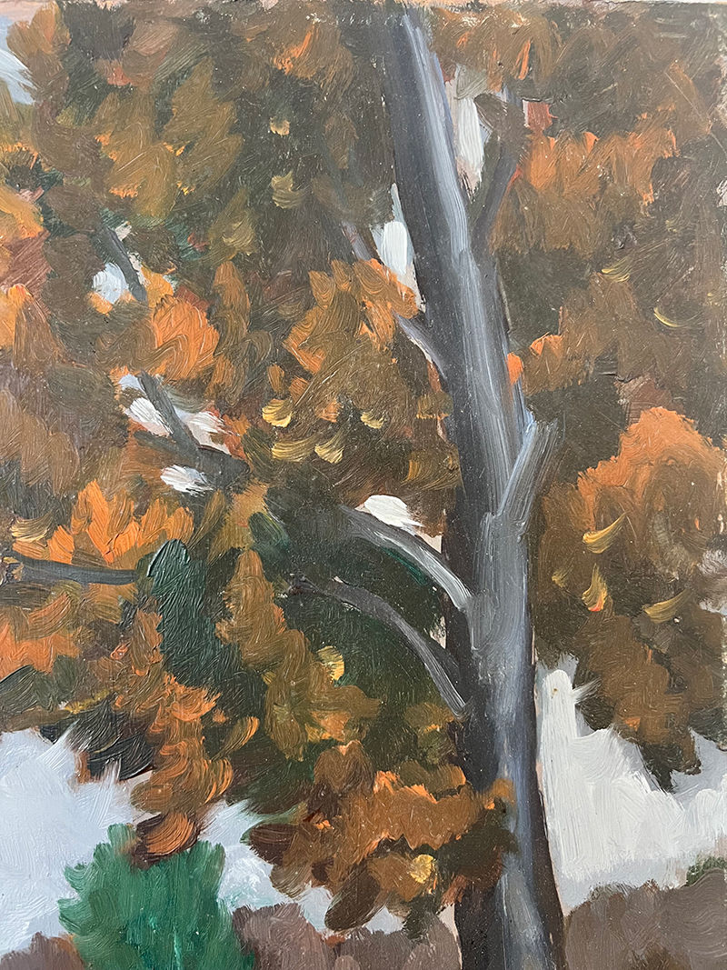 Miniature : Chemin aux arbres