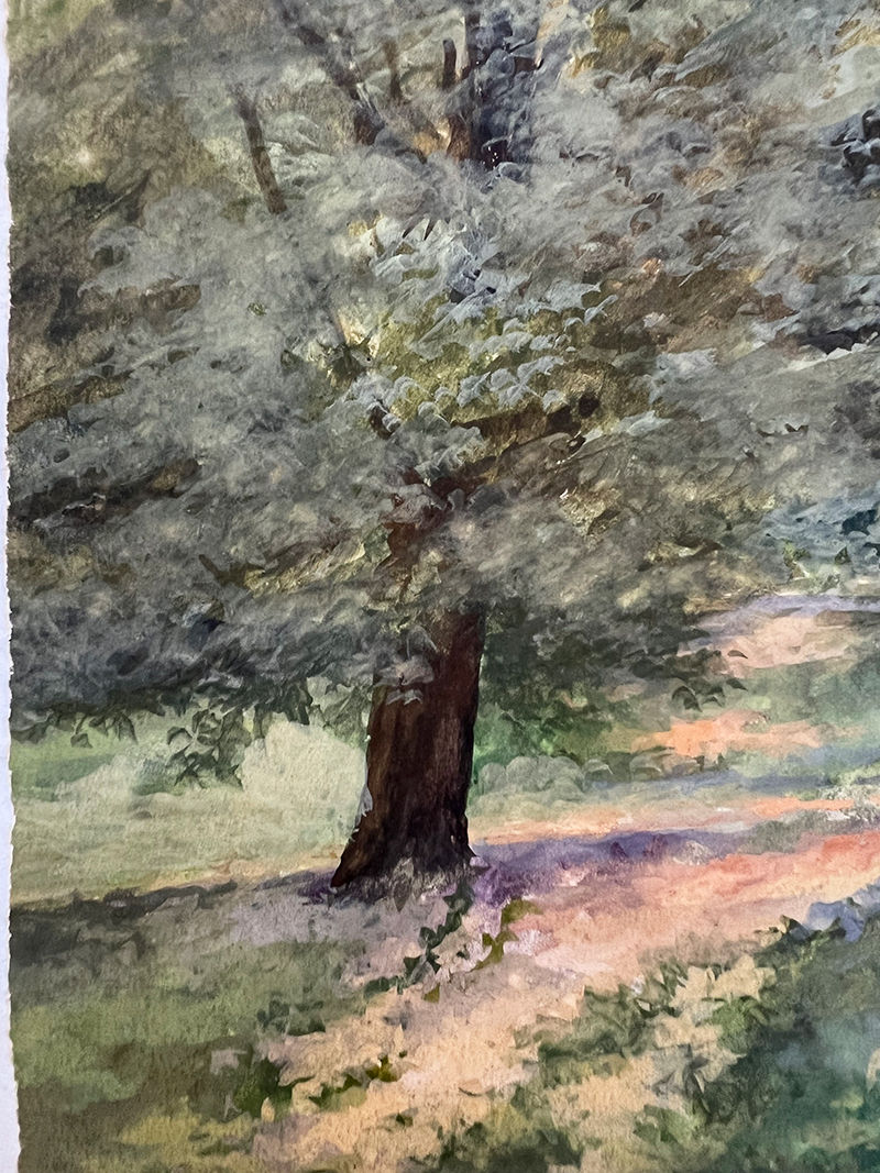 Thumbnail: Chemin dans les sous-bois