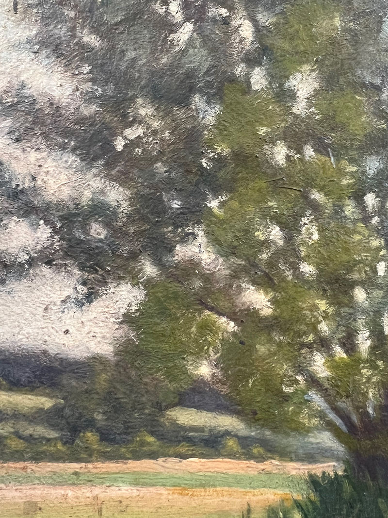 Thumbnail: Trees at the edge of a pond