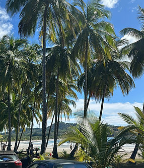 Playa carillo_edited.jpg