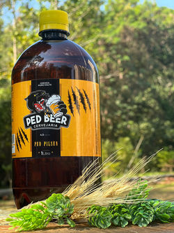 z Ped Beer Foto 00001