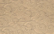 freezer essentials web background.jpg