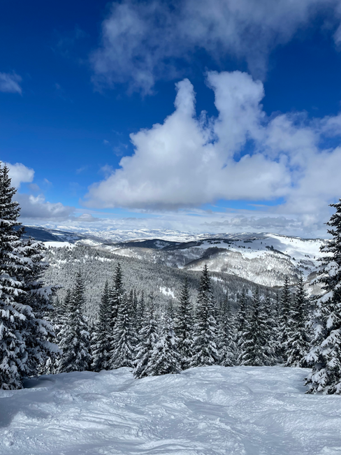 Thomas Neal Tesseyman Denver Colorado Dallas Tyler Texas Restaurant Manager mugshot criminal record True Food Kitchen 