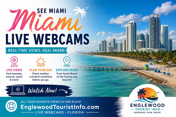 live florida webcam flyer for miami beach