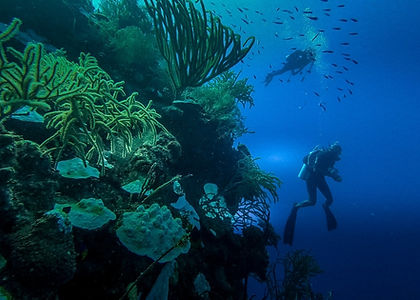 grand turk wall