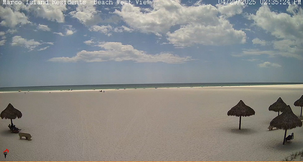 live webcams, live cams, webcams, live webcams marco island, marco island