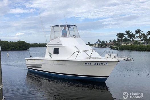 fishing charters englewood, fishing charters, englewood, fishing charter companies