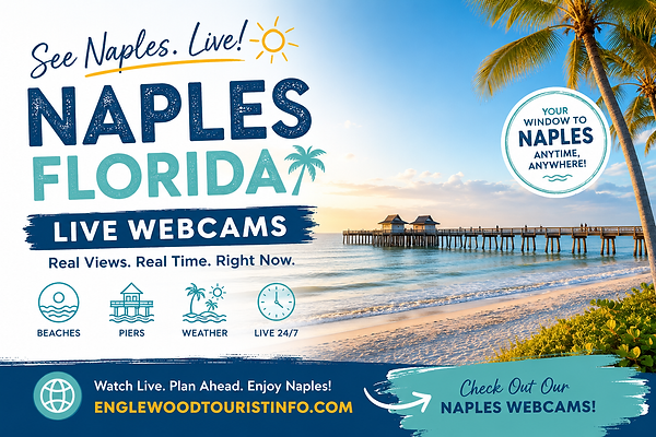 live florida webcam flyer for naples