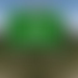 Fork in the road - making the build versus buy decision