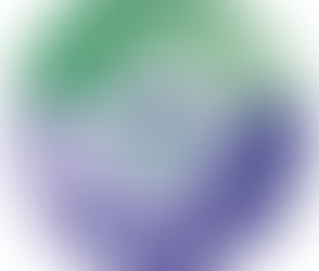 Local Development Plan 3