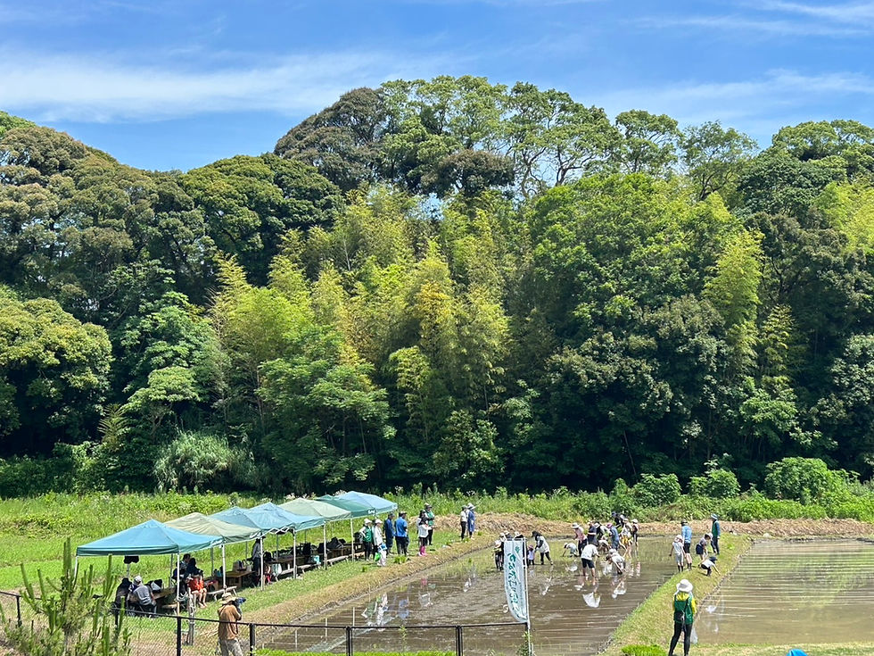 恵みの雨か、脅威か。〜農業と土木、現場で感じる6月の空模様〜