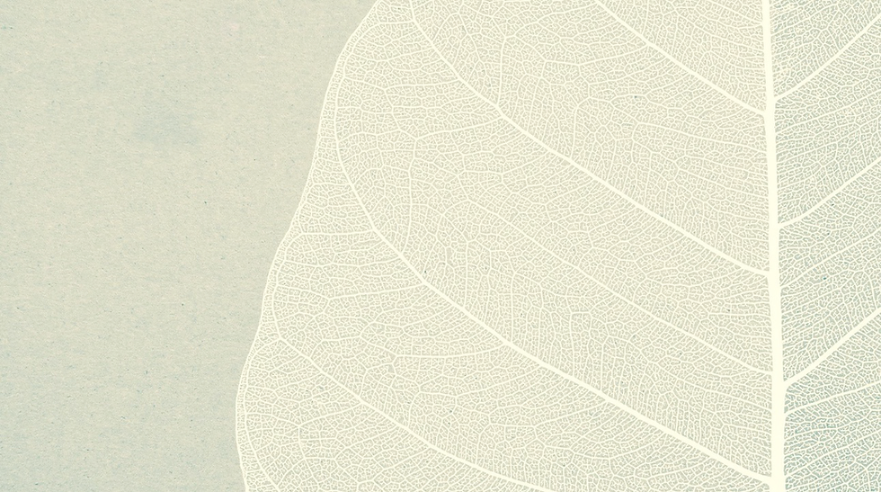 Edited Image 2016-03-01 19-49-31-1.png