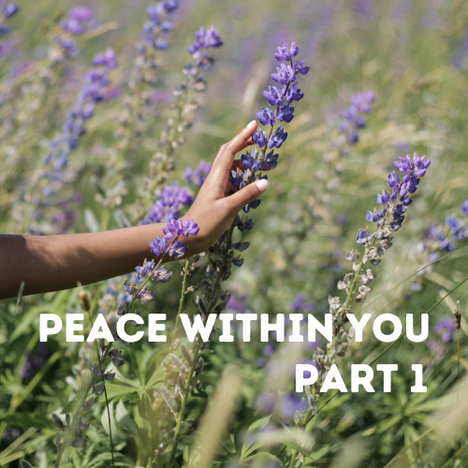 Part 1 Series - Experiencing Peace Within You. Peace comes when you have nothing to hide.