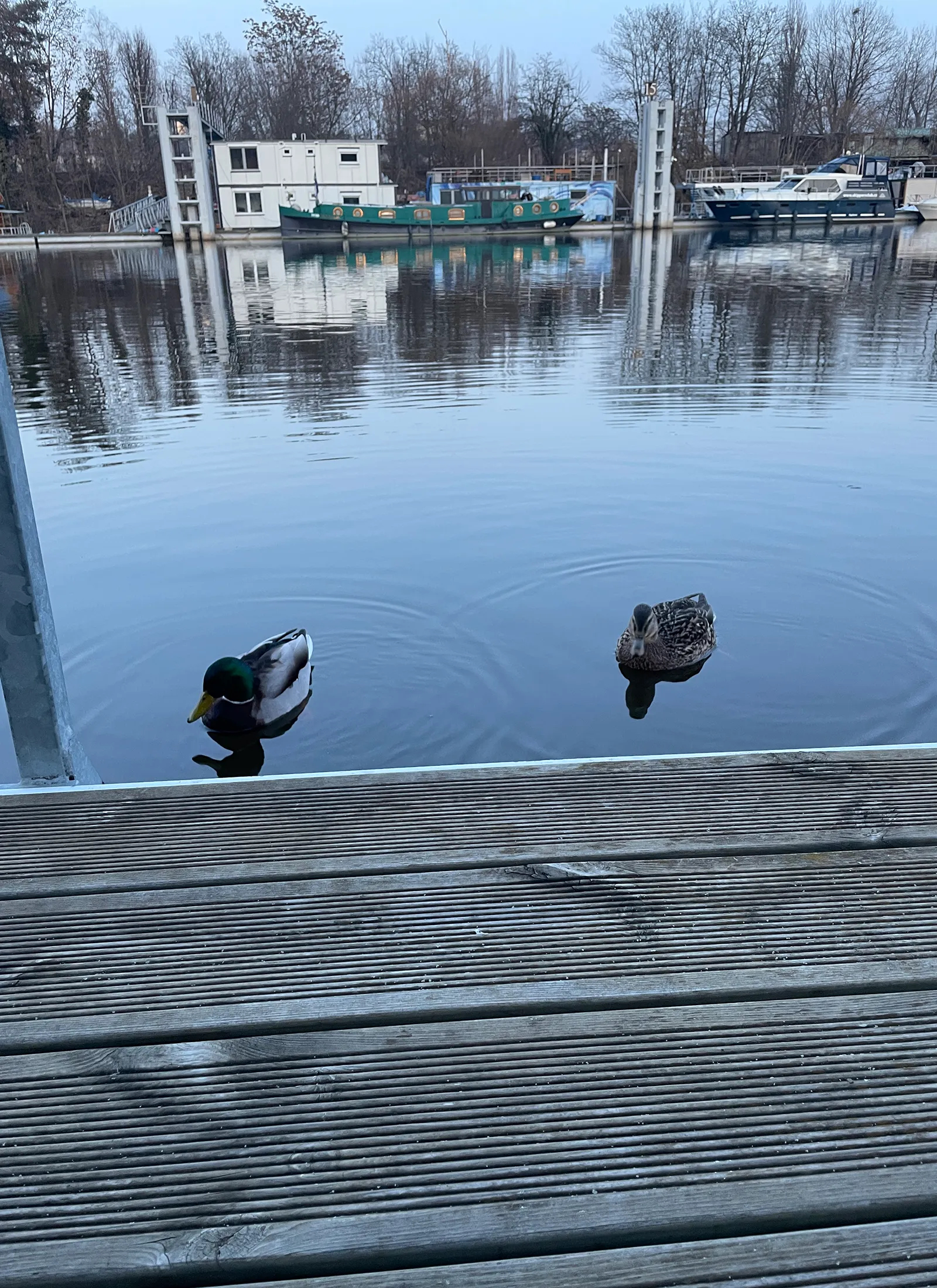 Emane ja isane part paatmaja terassi kõrval