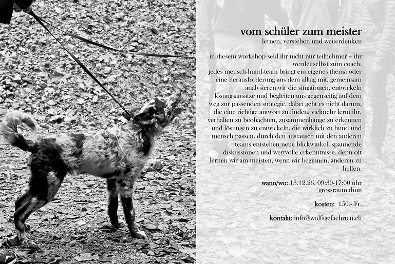 vom schüler zum meister, 13.12._edited.jpg