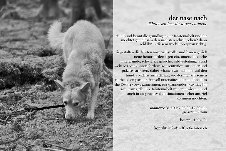der nase nach, 31.10._edited.jpg